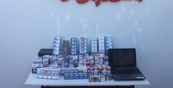 Tekirdağ'da büfe fareleri jandarmaya yakalandı