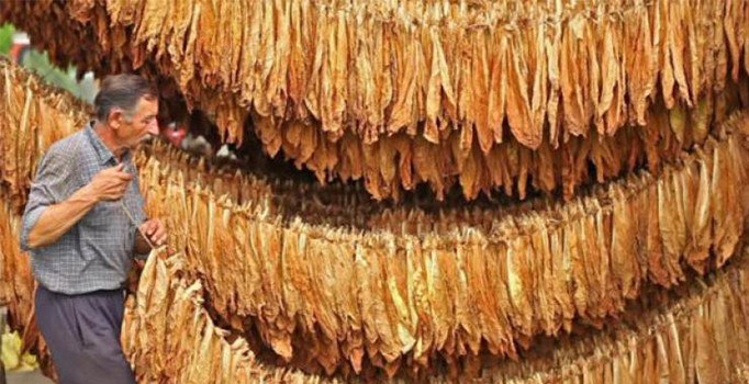 Tütün ürünlerine yeni düzenleme