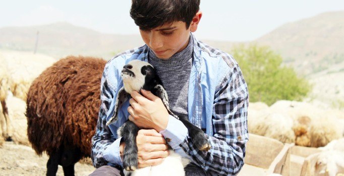 Koyun sağıp, çobanlık yapan Habib Bitkin TEOG şampiyonu oldu