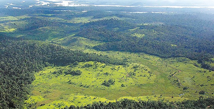 Tekirdağ’da 3 ay ormanlara girmek yasak