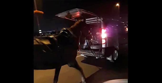 İstanbul E-5 karayolunda yürek sızlatan görüntü | Video