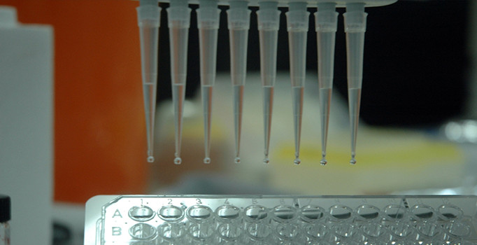 Milli kanser ilacı çalışmalarında umut verici gelişme