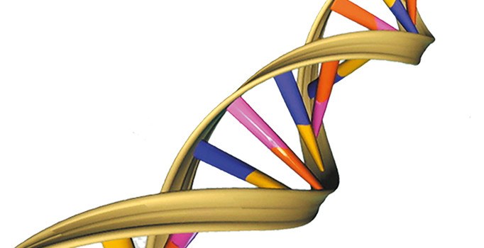Alerjiye gen terapisi tedavisi
