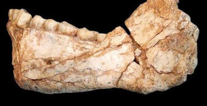 300 bin yıllık insan iskeleti bulundu