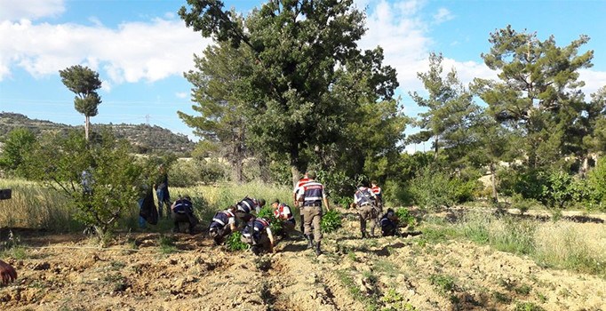 Mersin’de uyuşturucu operasyonu