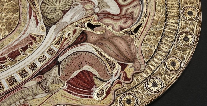 Eski kitaplardan anatomik kesitler üretti