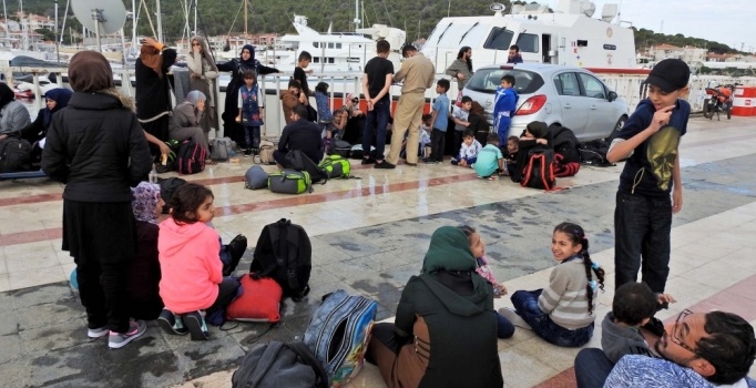 Kırklareli'nde 24 kaçak ve sığınmacı yakalandı