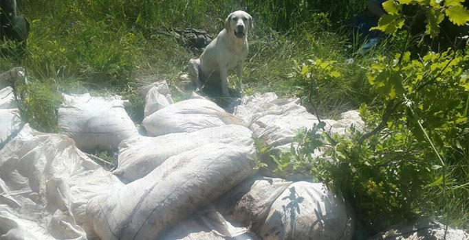 Bitlis'te 2 ton 50 kilo amonyum nitrat ele geçirildi