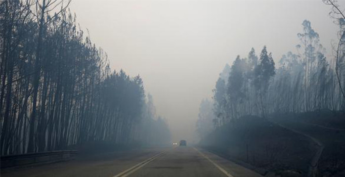 Portekiz'de orman yangını: 62 ölü... 3 günlük yas ilan edildi