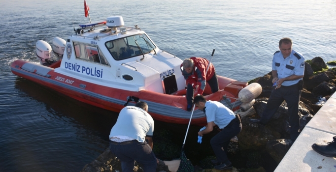İzmir Konak'ta denizde erkek cesedi bulundu | İzmir haberleri