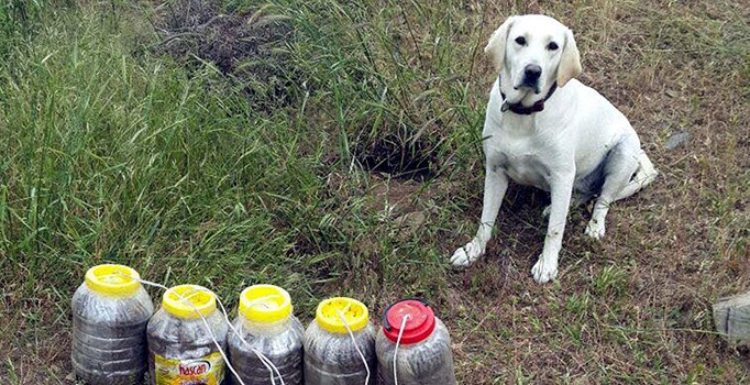 Jandarmanın en büyük yardımcısı: Tam 9 ton 450 kilo patlayıcı buldu