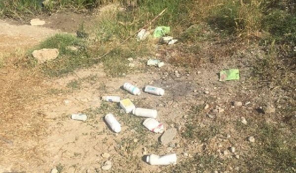 Denizli'de korkutan balık ölümleri