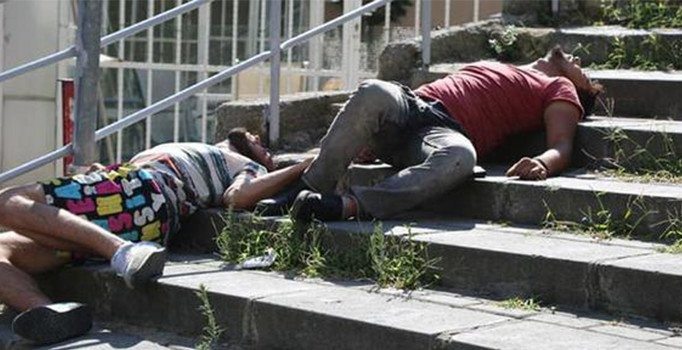 Bonzai tehlikesi artıyor