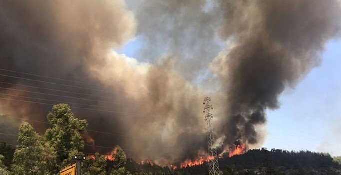 Yıldırım'dan orman yangınları için seferberlik çağrısı