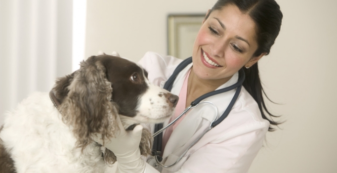 Dünya Veteriner Hekimler Günü kutlu olsun!