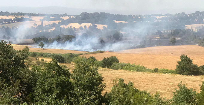 Çanakkale Ezine'de orman yangını | Son dakika haber