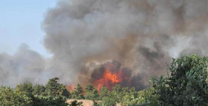Çanakkale cayır cayır yanıyor: 30 hektar alan kül oldu