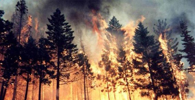 Meteoroloji'den orman yangını uyarısı