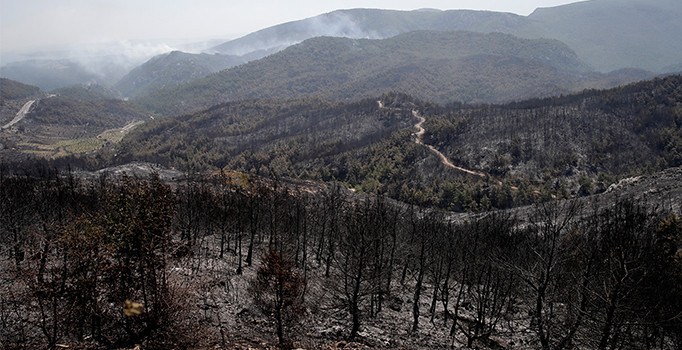 İzmir'deki orman yangınında 3 günde 800 hektarlık alan yok oldu