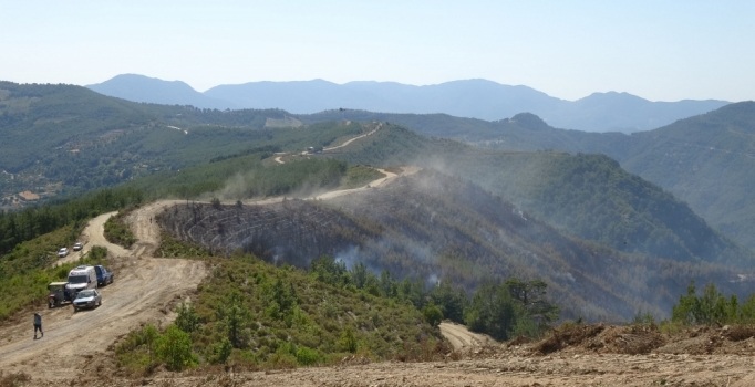 Anamur'da yangın 200 hektar ormanı etkiledi