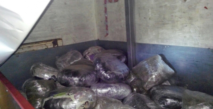 308 kilo esrarla yakalandı 'seçim nedeniyle aranmam sandım' dedi