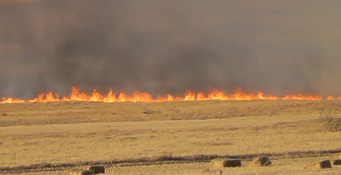 Gelibolu’da 3 dönüm alan yandı