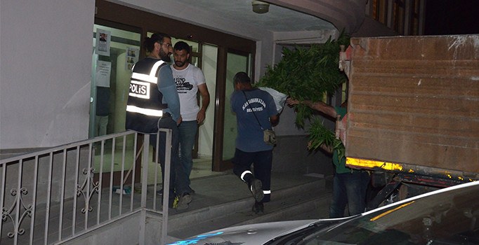 Hint kenevirlerinin ekili olduğu yerleri drone tespit etti, polis operasyon düzen