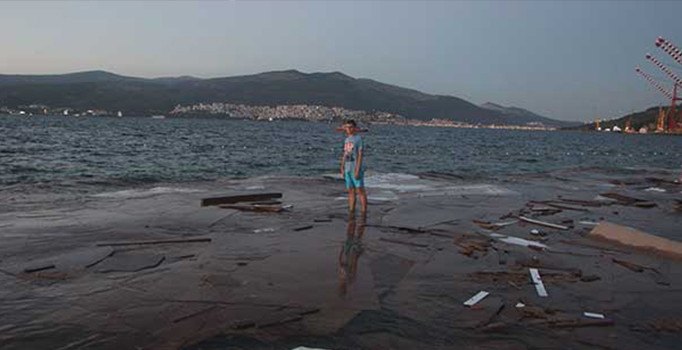 Bursa'da tonlarca sunta sahile vurdu