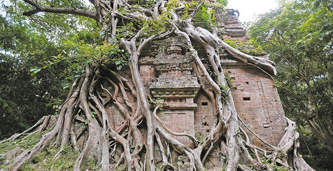 Avatar’ın ‘Eywa’sı Kamboçya’da