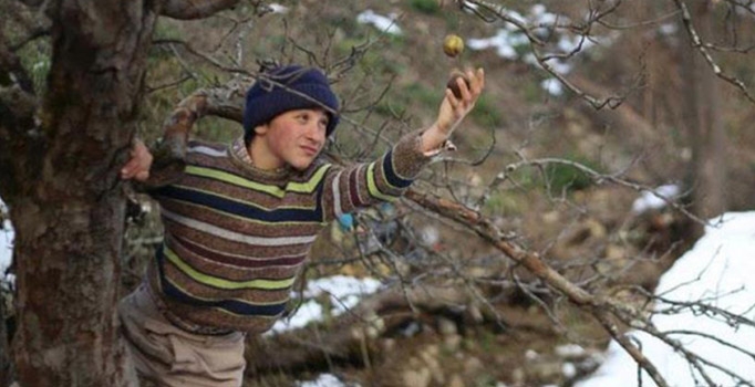 52. Uluslararası Antalya Film Festivali’nde iki Türk filmi Altın Portakal için yarışacak