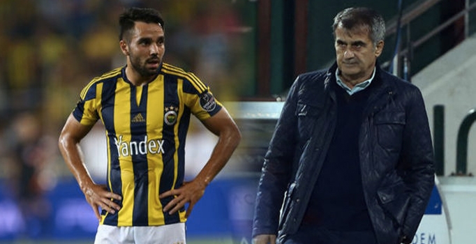 Volkan Şen: Şenol Güneş'e ben yalvarmadım