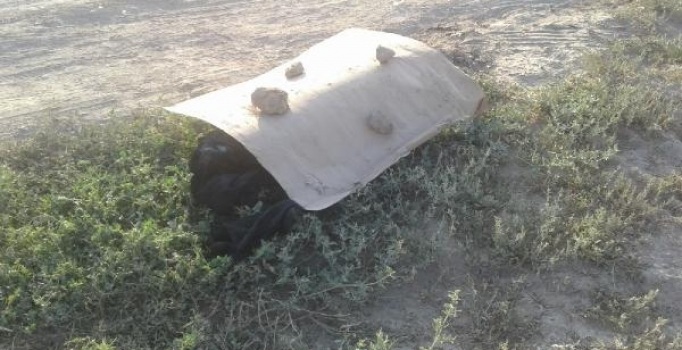 Doğubayazıt’ta kadın cesedi bulundu