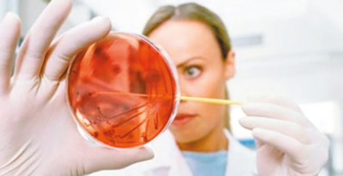 Hepatiti yalnızca temizlik önler