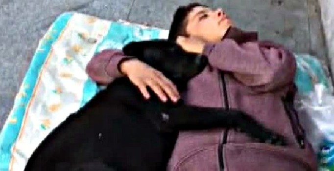 Beşiktaş’ta köpeğe sarılarak uyuyan çocuk yürekleri burktu
