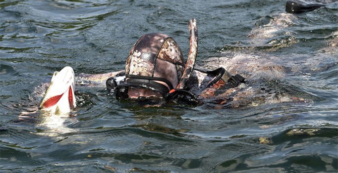 Putin bu defa zıpkın ile balık avlandı