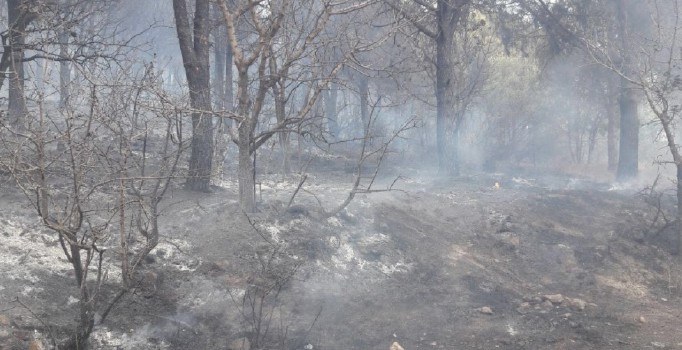 İzmir’de piknik alanı yakınında yangın