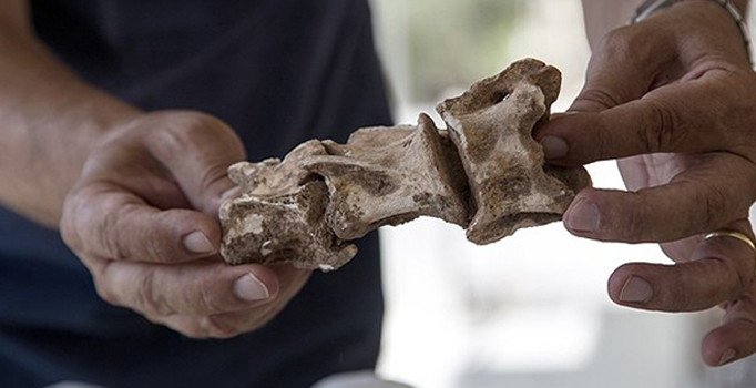 Karain Mağarası'nda 350 bin yıllık kemik parçaları bulundu