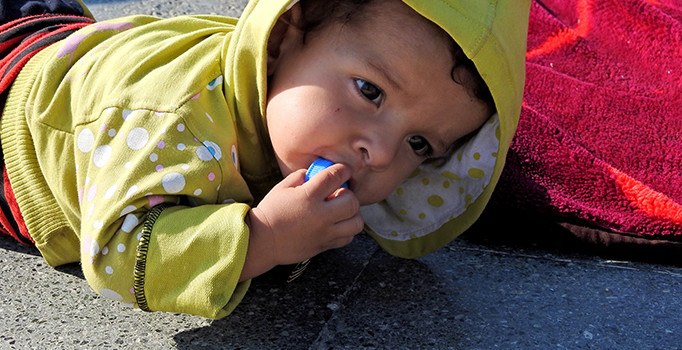 Ölüm yolculuğuna çıkan 60 göçmen yakalandı