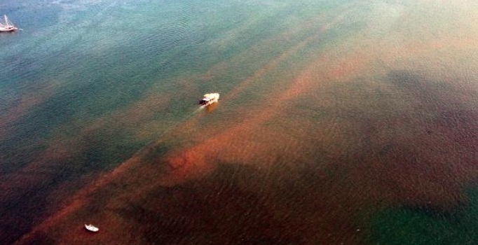 Fethiye Körfezi'ndeki çamur tepeleri TBMM gündeminde