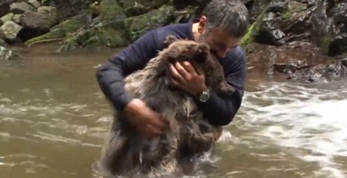 Türk belgeselci gölette ayıyla savaştı