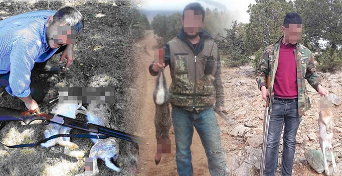 Avladıkları tavşanları Facebook'ta paylaşan avcılara ceza