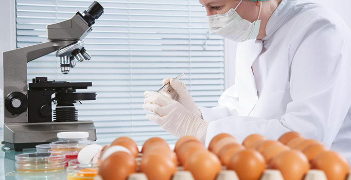 Türkiye de yumurtaları analiz etme kararı aldı