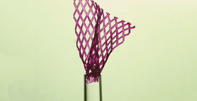 Kalbi tamir eden pul kadar doku bandajı