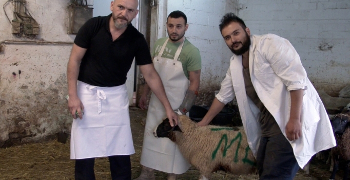 Almanya'da kurbanlıklar satışa hazır