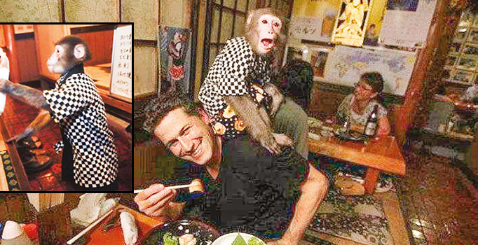 Maymun garsonların bahşişleri de bol