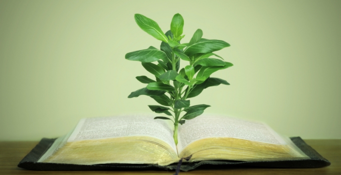 TÜÇEV çevre hakkında yazılan kitaplara destek olacak