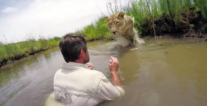 Aslan ile bakıcısı yıllar sonra kavuştu | Video
