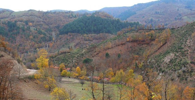 Balıkesir Madra Dağı'nda 2 milyar dolarlık altın bulundu