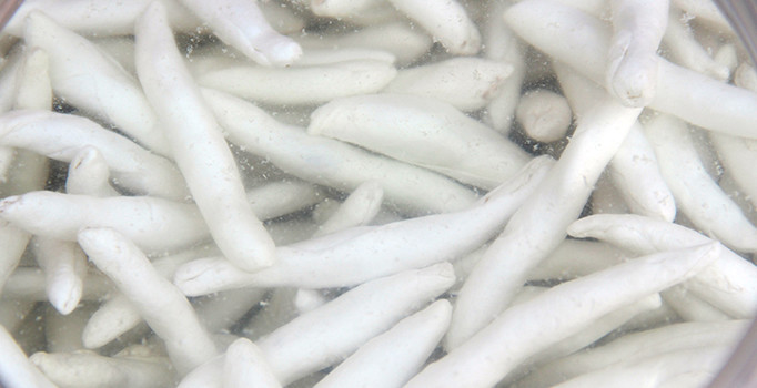 İki çeyrek altın fiyatına, bir kilo sakız