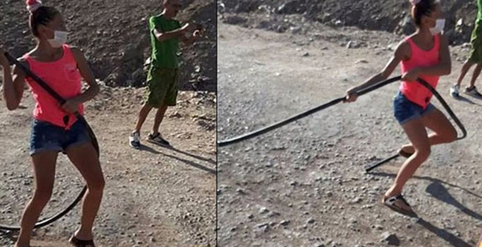 Hayvanseverler birbirine girdi